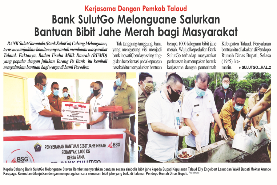 Bank SulutGo Melonguane Salurkan Bantuan Bibit Jahe Merah bagi Masyarakat