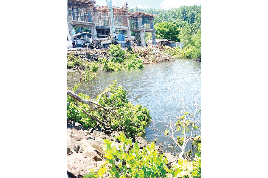 Tebang Mangrove, Rehab Pelabuhan Penyeberangan Likupang Disorot