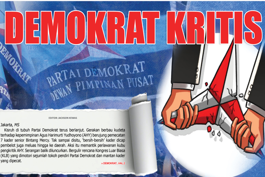 DEMOKRAT KRITIS