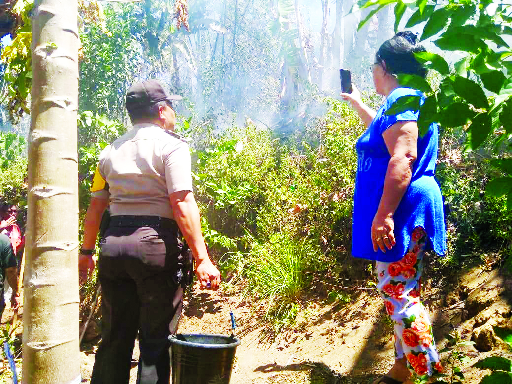 Kebakaran Hutan Ancam Minsel