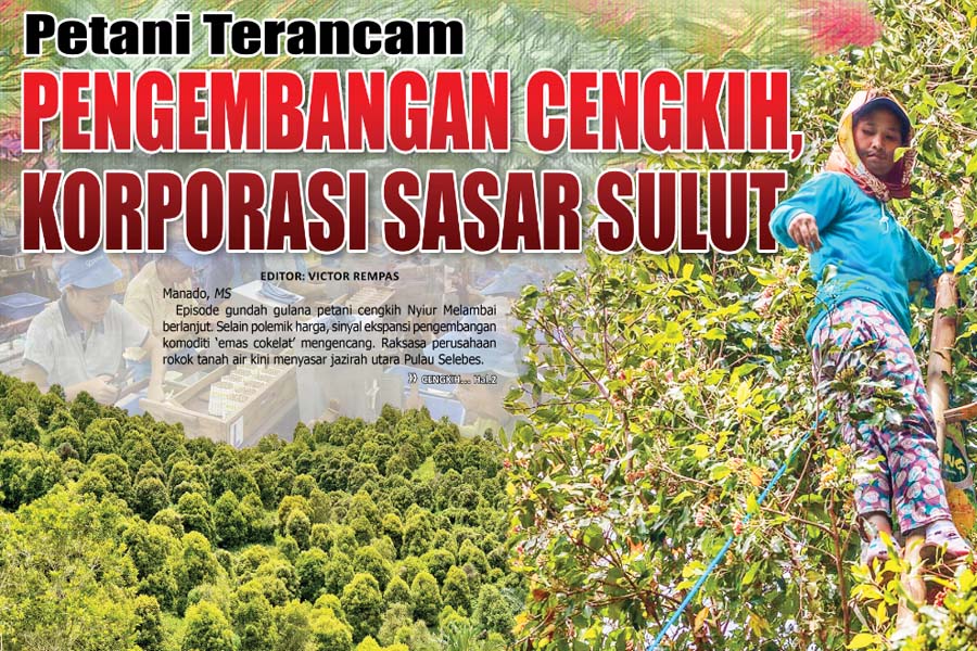 Petani Terancam, PENGEMBANGAN CENGKIH, KORPORASI SASAR SULUT