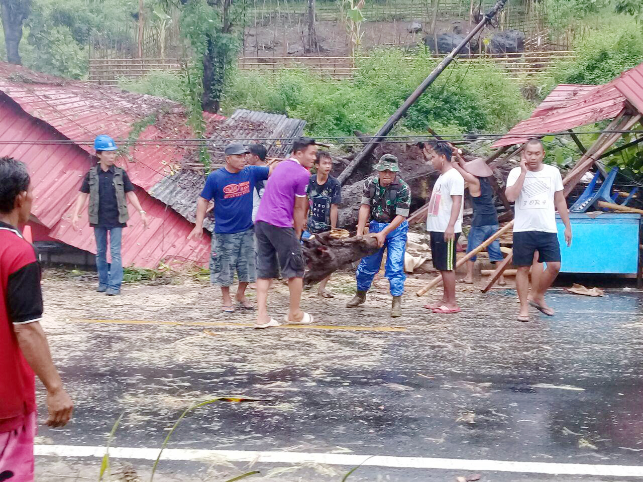 Pohon Tumbang di Tambala Makan Korban