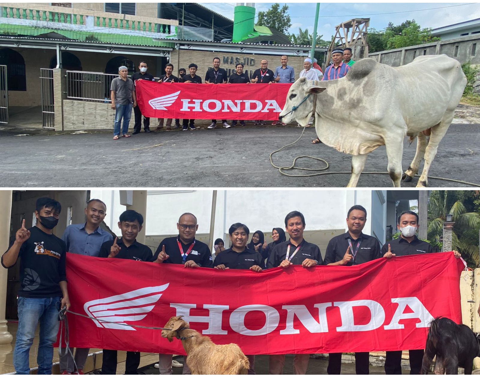 DAW Salurkan Hewan Kurban ke 2 Masjid di Watutumou